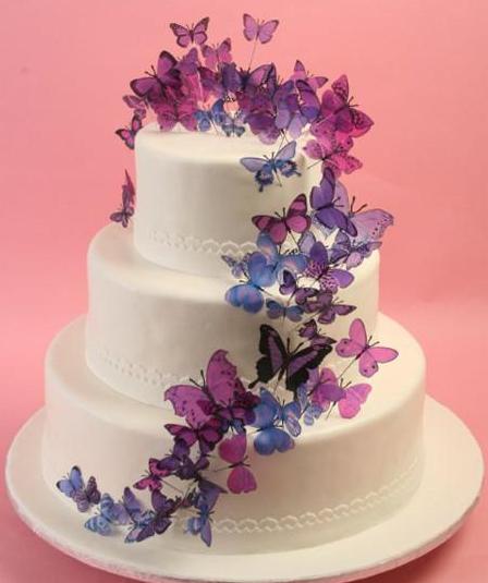Butterfly Wonderland